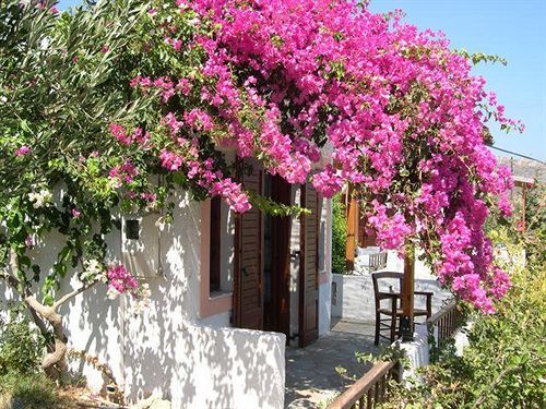 Casa Di Mare Apartment Palekastro Exterior photo